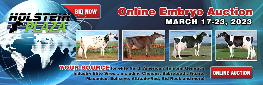 Online Embryo Auction: March 17-23, 2023