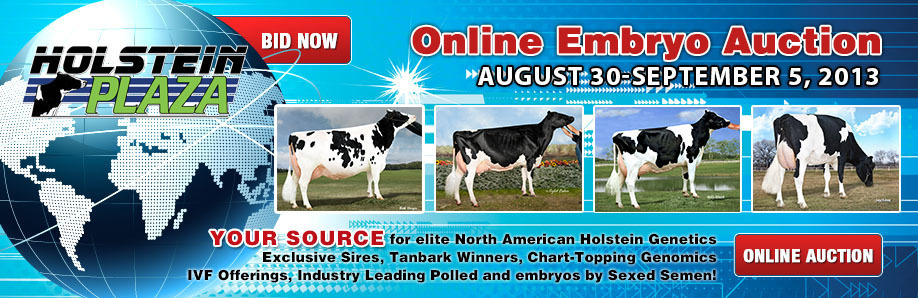 Online Embryo Auction: June 14-20, 2013